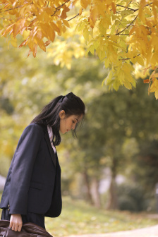 铁猴子传奇之花影危机HD